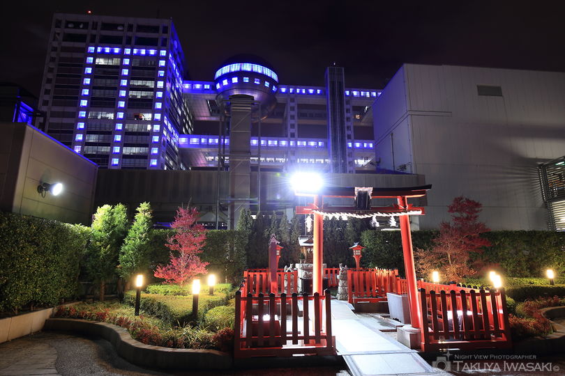 アクアシティお台場神社の夜景スポット写真（5）