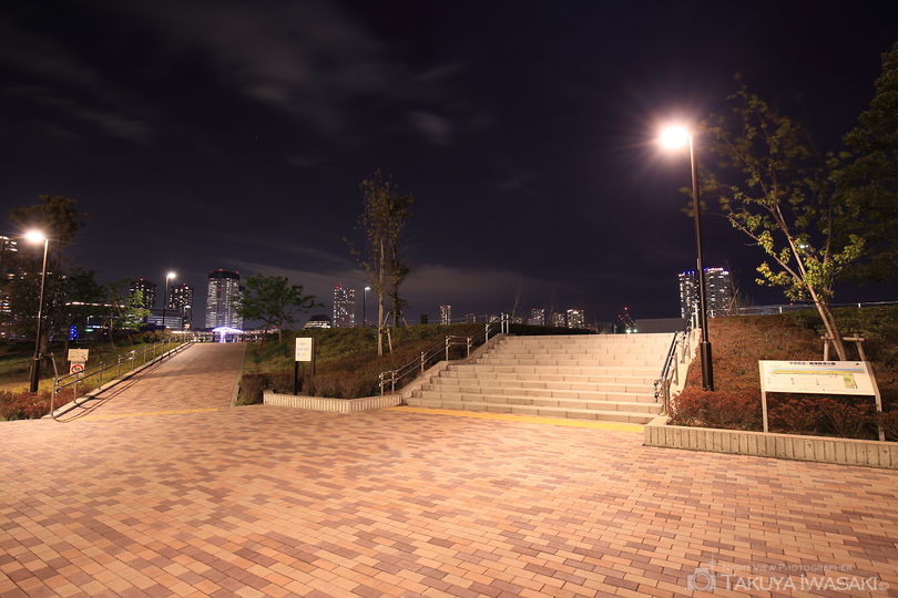 晴海臨海公園の夜景スポット写真（5）