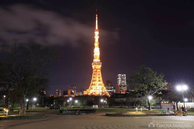 東京タワーが見える夜景デートスポット12選