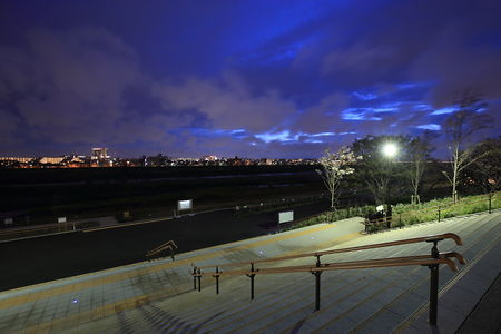 二子玉川公園の夜景スポット写真（2）class=
