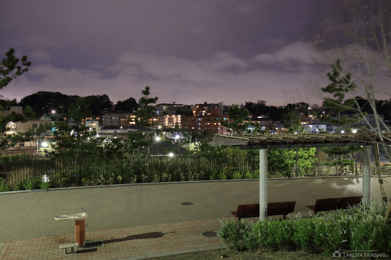 二子玉川公園の夜景スポット写真（5）