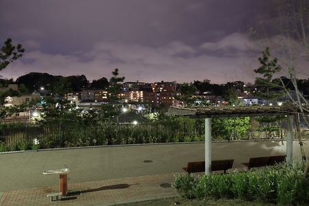 上野毛駅方面の夜景