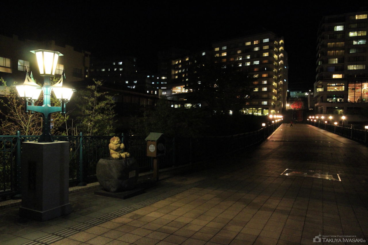 鬼怒川温泉 ふれあい橋の夜景スポット写真（4）