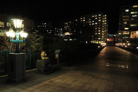 鬼怒川温泉 ふれあい橋の夜景スポット写真（4）class=