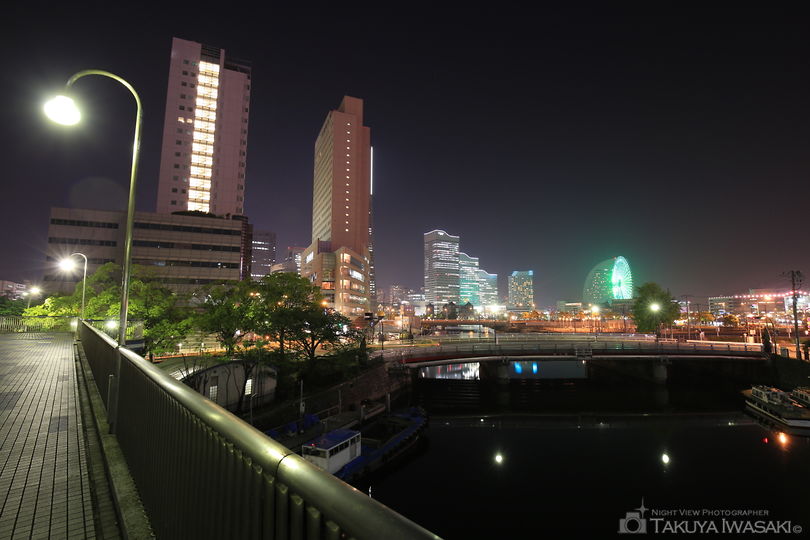 住吉橋の夜景スポット写真（3）