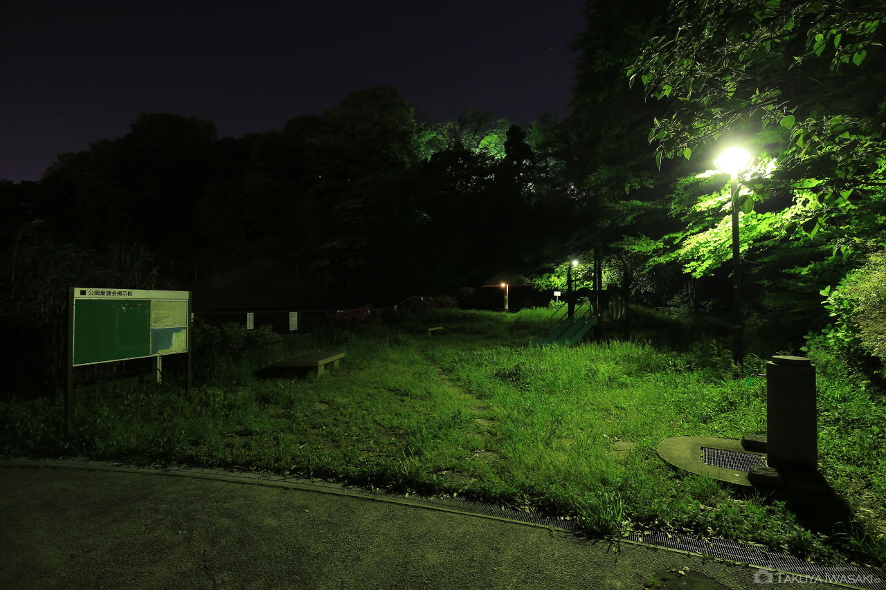 森みはらし公園の夜景スポット写真（4）