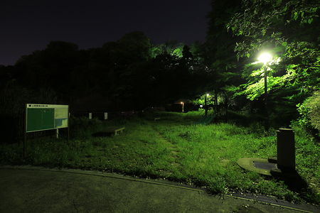 森みはらし公園の夜景スポット写真（4）class=