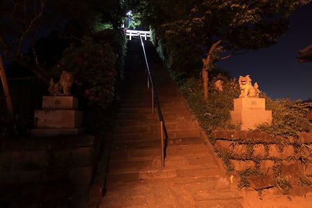 八幡宮神社の夜景スポット写真（4）class=