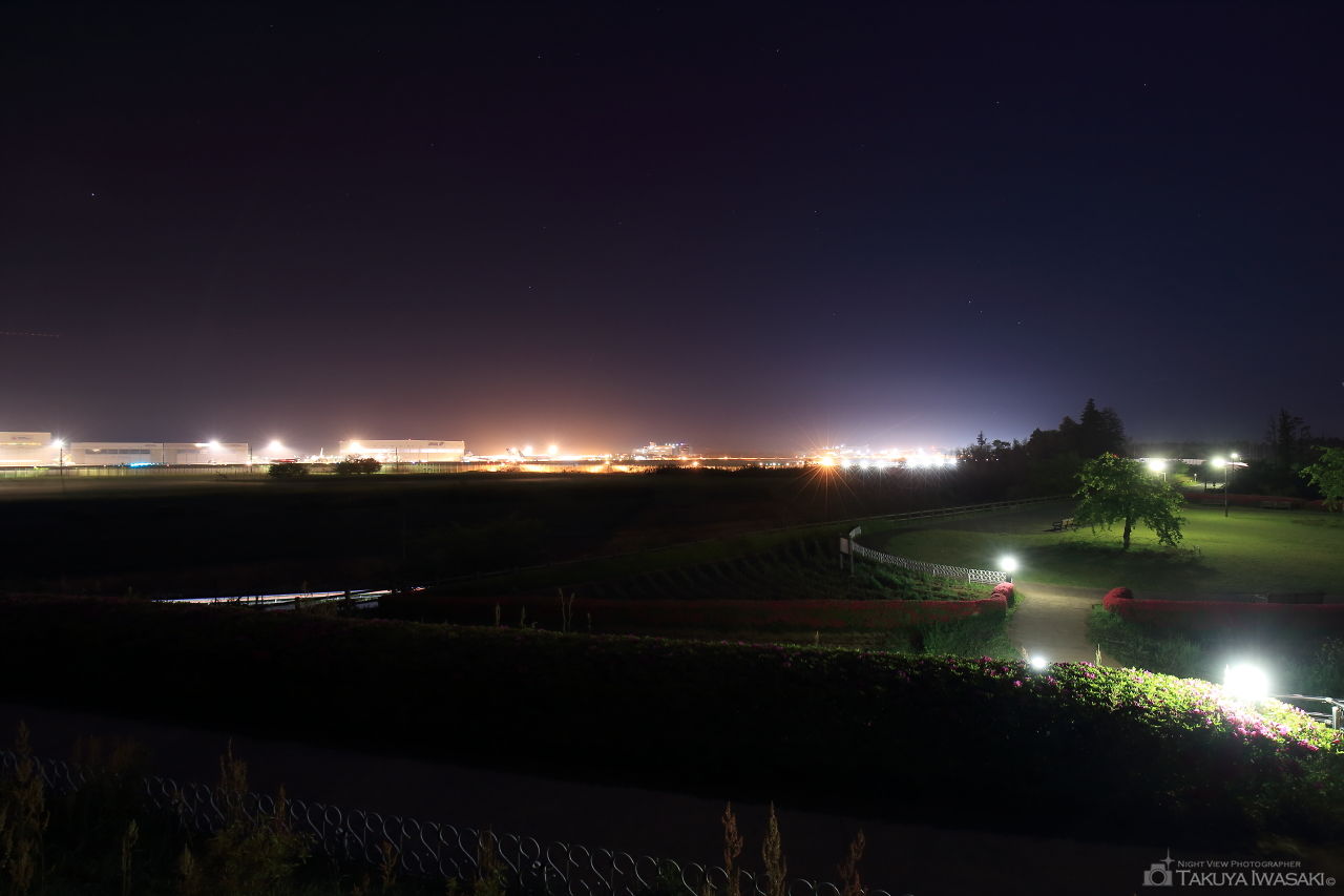 三里塚さくらの丘の夜景スポット写真（2）