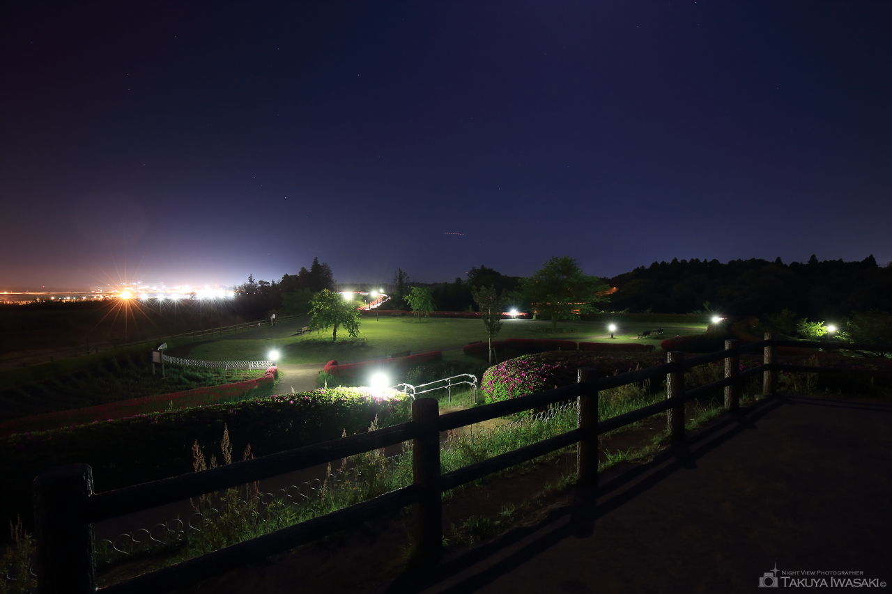 三里塚さくらの丘の夜景スポット写真（3）