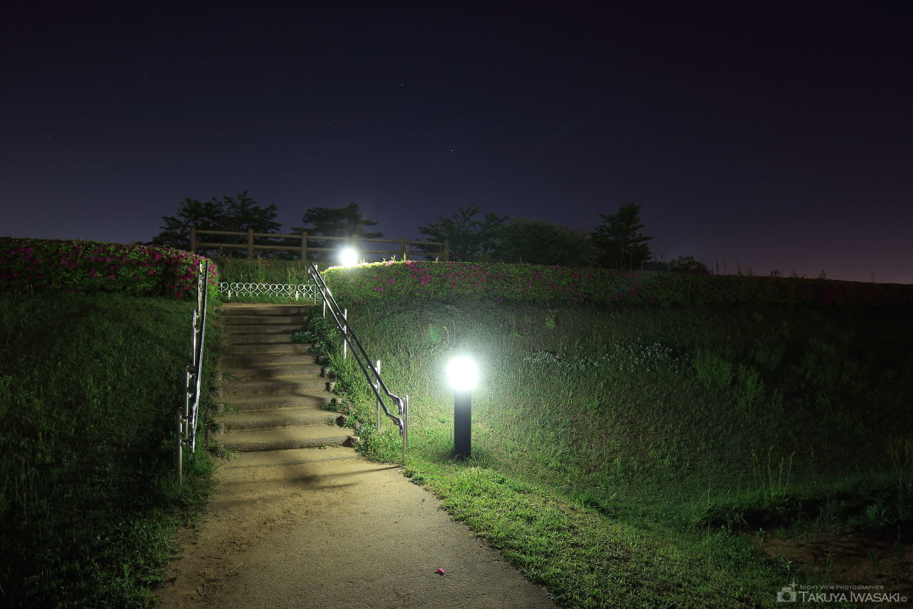 三里塚さくらの丘の夜景スポット写真（4）