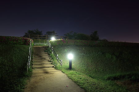 三里塚さくらの丘の夜景スポット写真（4）class=