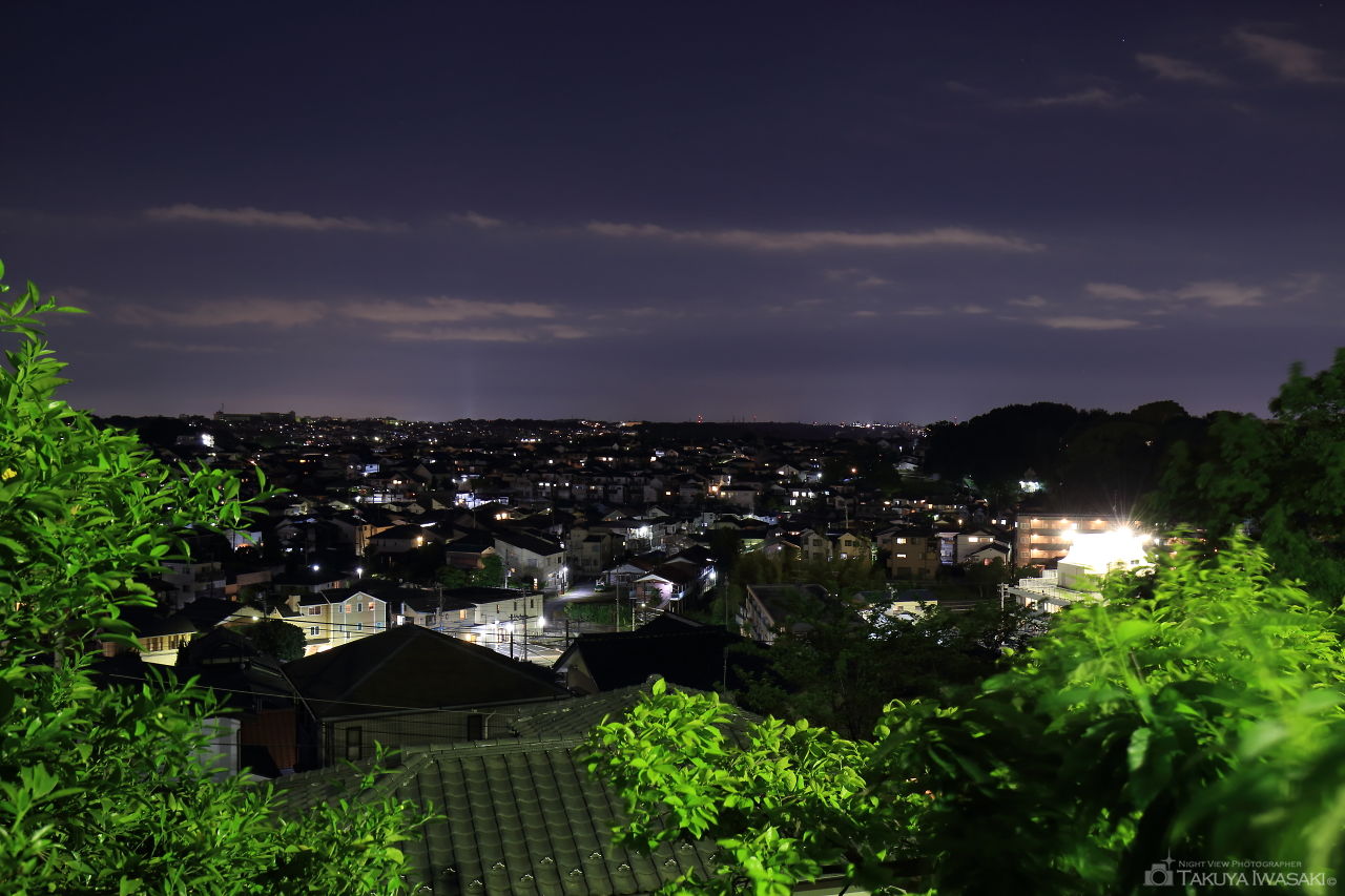 東本郷第一公園の夜景スポット写真（1）