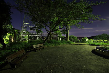 東本郷第一公園の夜景スポット写真（3）class=