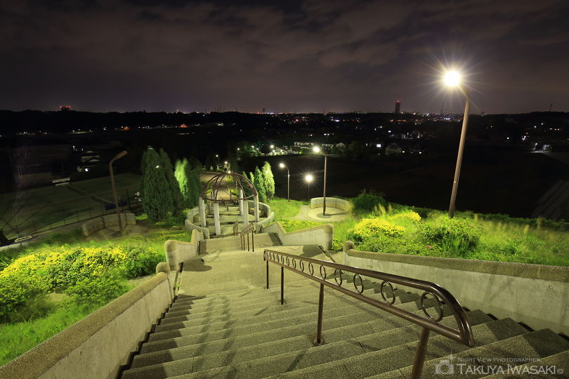 東俣野中央公園の夜景スポット写真（1）