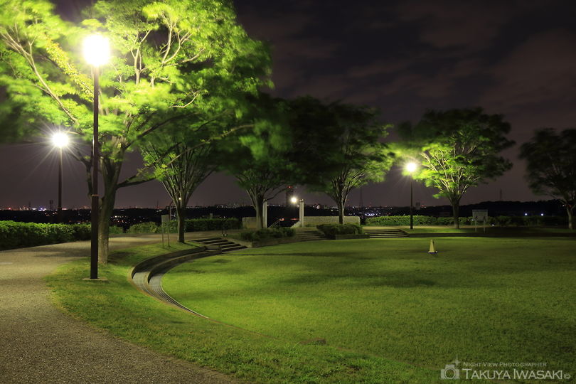 東俣野中央公園の夜景スポット写真（4）