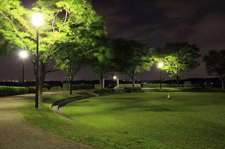 東俣野中央公園の夜景スポット写真（4）class=