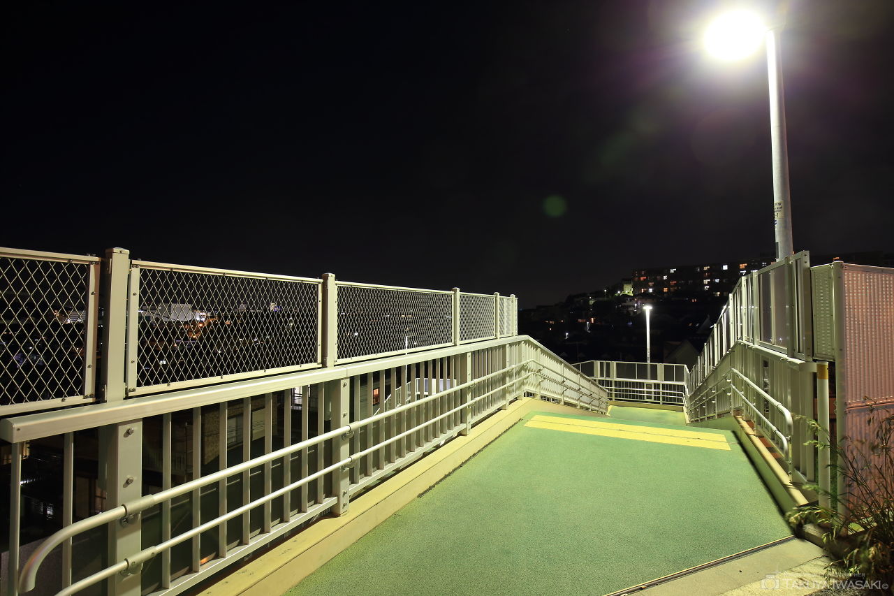 水神橋の夜景スポット写真（3）