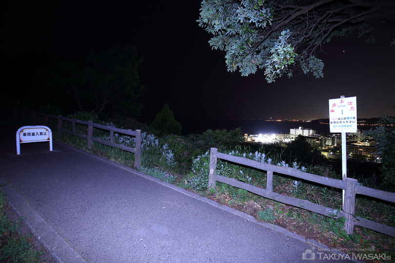 大崎公園の夜景スポット写真（2）