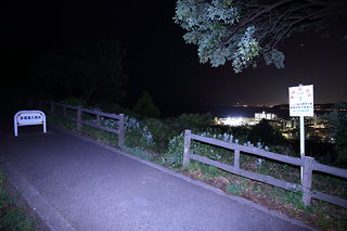 大崎公園の夜景スポット写真（2）class=