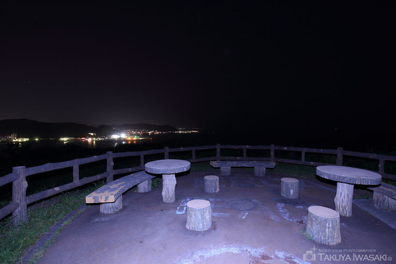 大崎公園の夜景スポット写真（4）