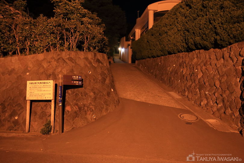 大崎公園の夜景スポット写真（5）
