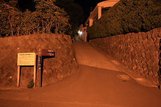 大崎公園の夜景スポット写真（5）class=