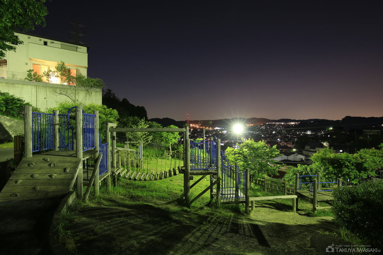 なごみの丘公園の夜景スポット写真（1）