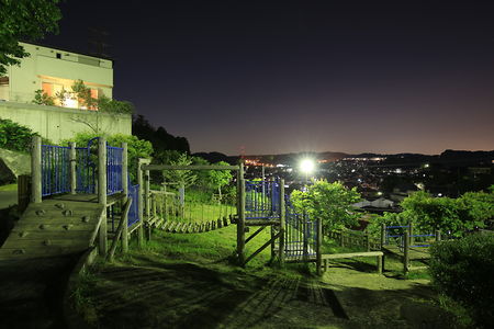 なごみの丘公園の夜景スポット写真（1）class=