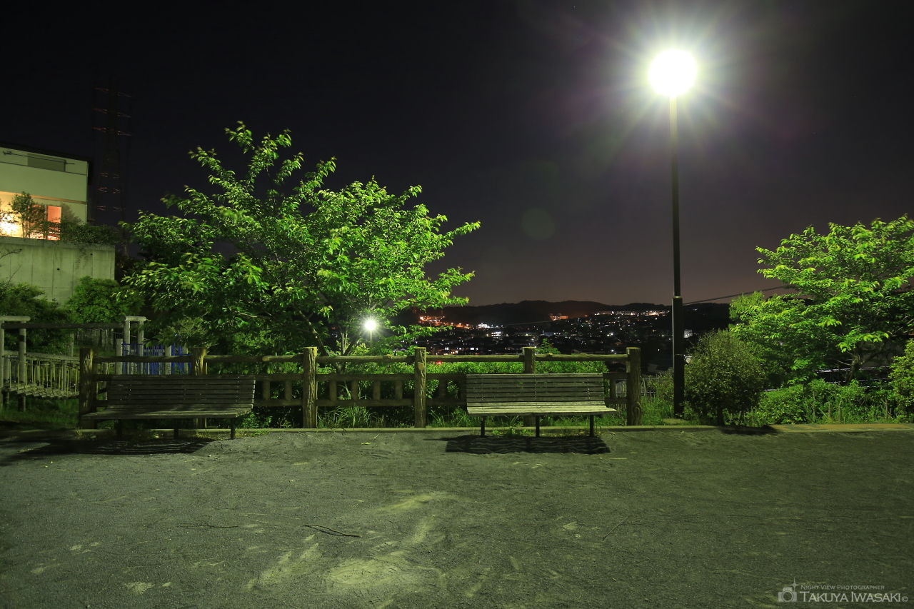 なごみの丘公園の夜景スポット写真（3）