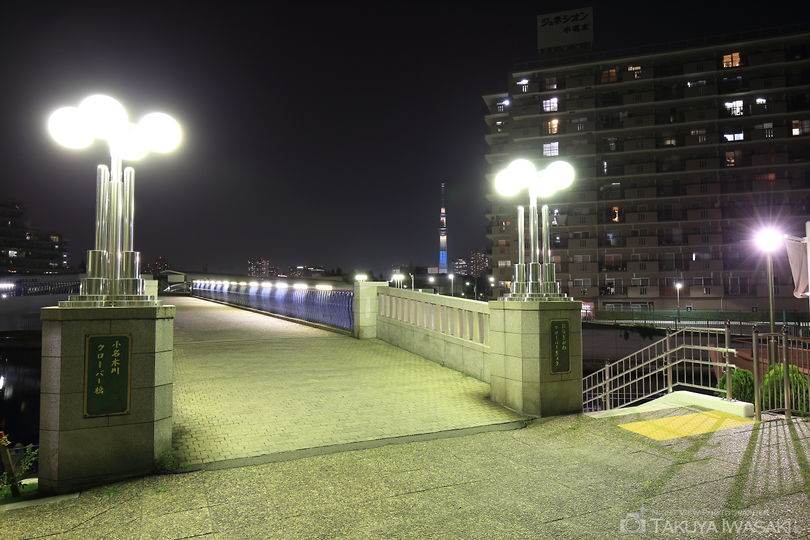 小名木川クローバー橋の夜景スポット写真（4）