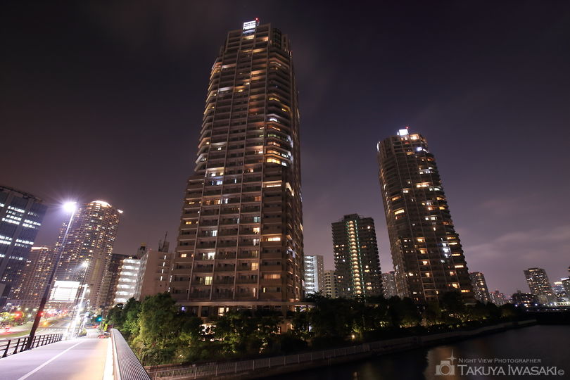 豊洲橋の夜景スポット写真（1）