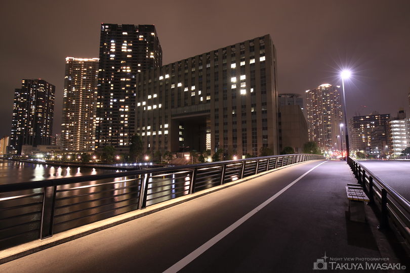 豊洲橋の夜景スポット写真（4）