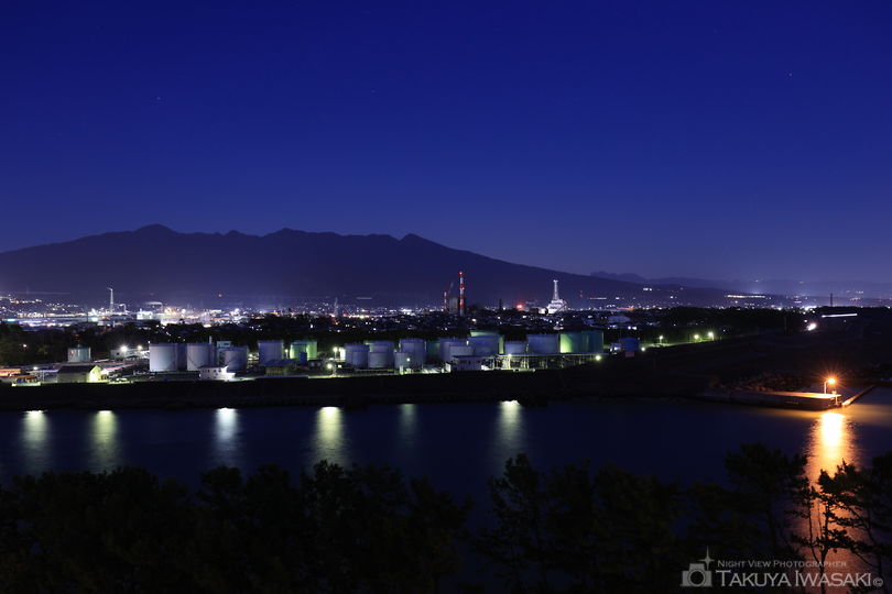 ふじのくに田子の浦みなと公園の夜景スポット写真（4）