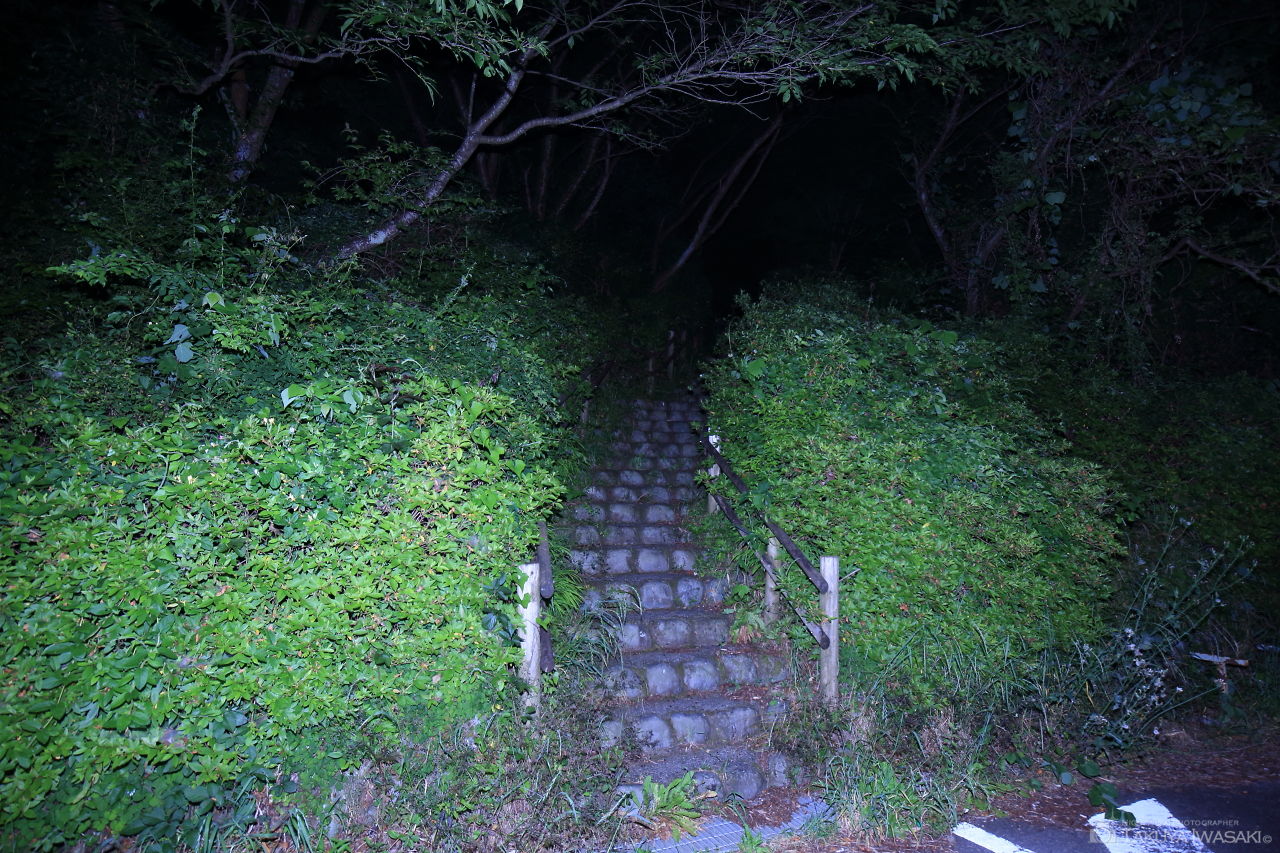 富嶽台の夜景スポット写真（3）