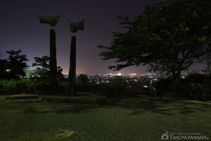 船越堤公園の夜景スポット写真（3）