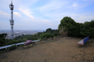 徳願寺の夜景スポット写真（4）class=