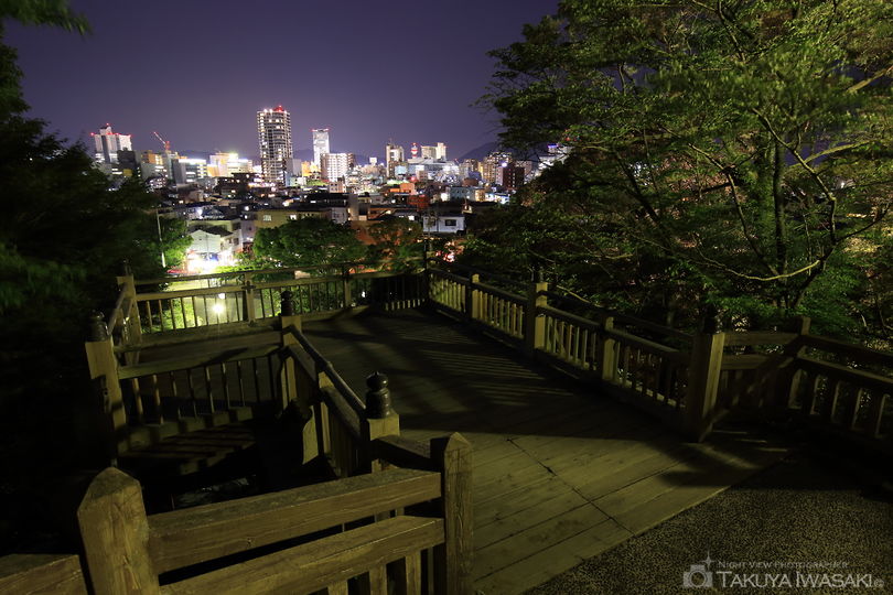 清水山公園の夜景スポット写真（2）