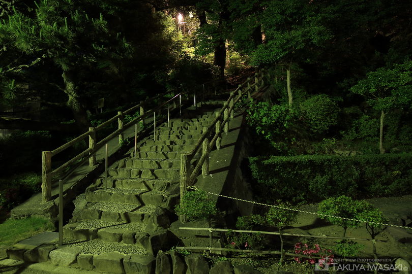 清水山公園の夜景スポット写真（3）