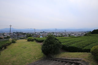 茶畑と昼間の富士宮市内の風景
