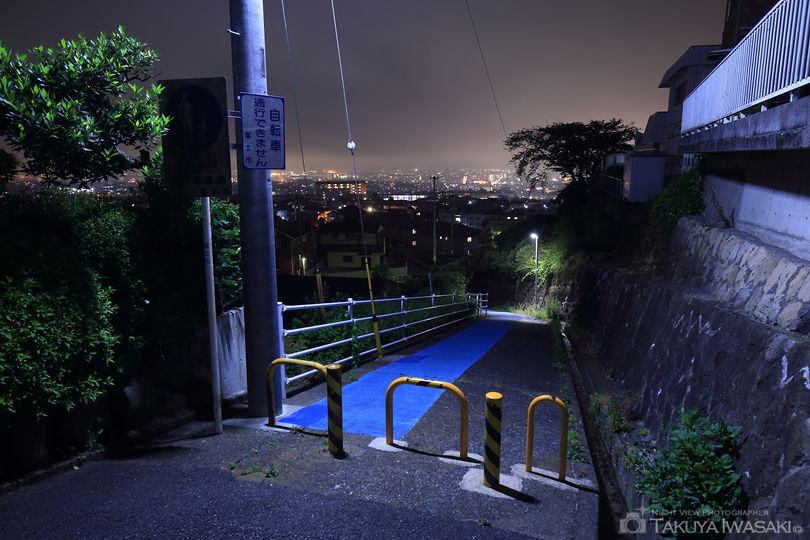 百合ヶ丘の夜景スポット写真（3）