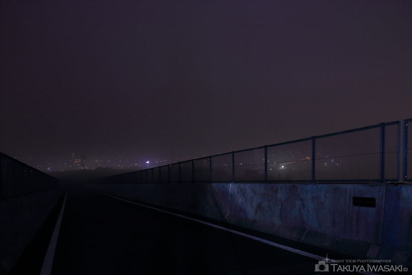 天ヶ沢東橋の夜景スポット写真（2）