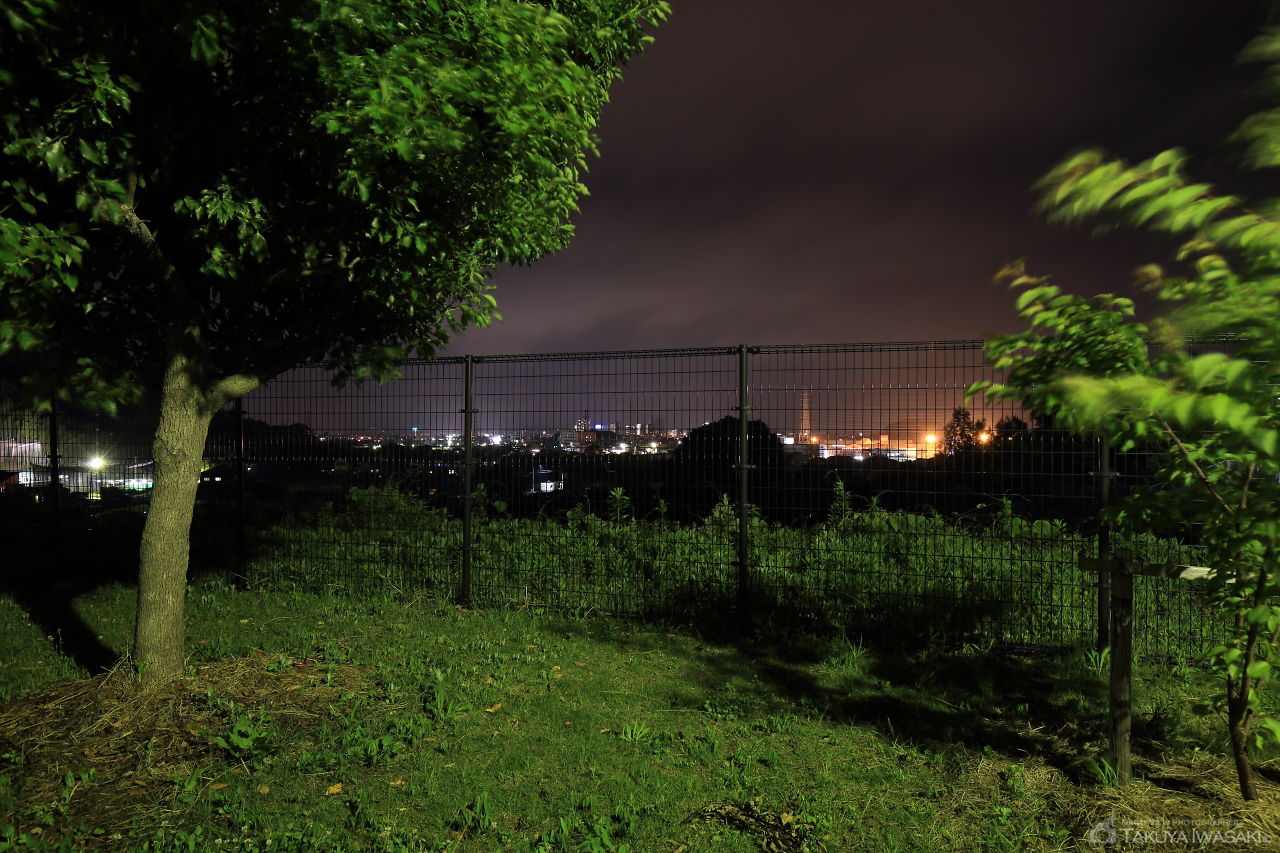 光洋台東公園の夜景スポット写真（2）