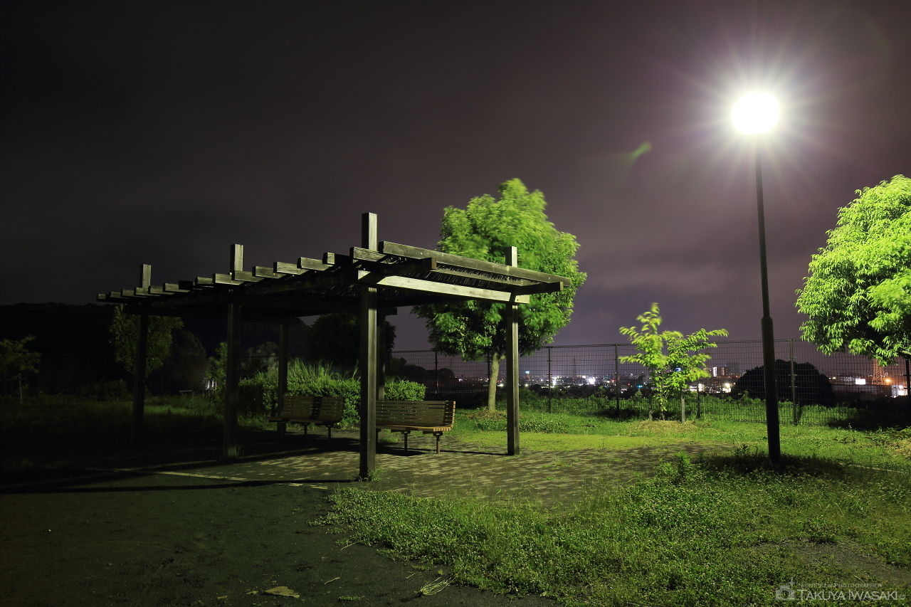 光洋台東公園の夜景スポット写真（3）