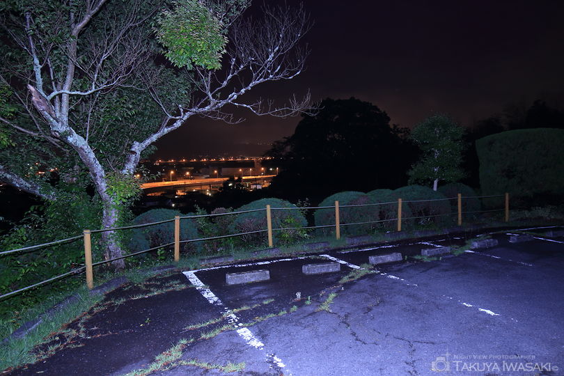 天神原公園の夜景スポット写真（3）