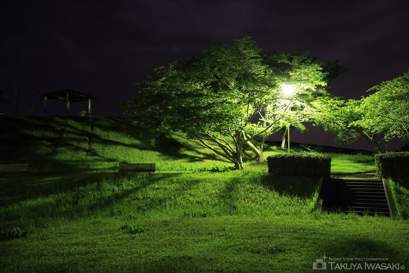 菊川中央公園の夜景スポット写真（3）