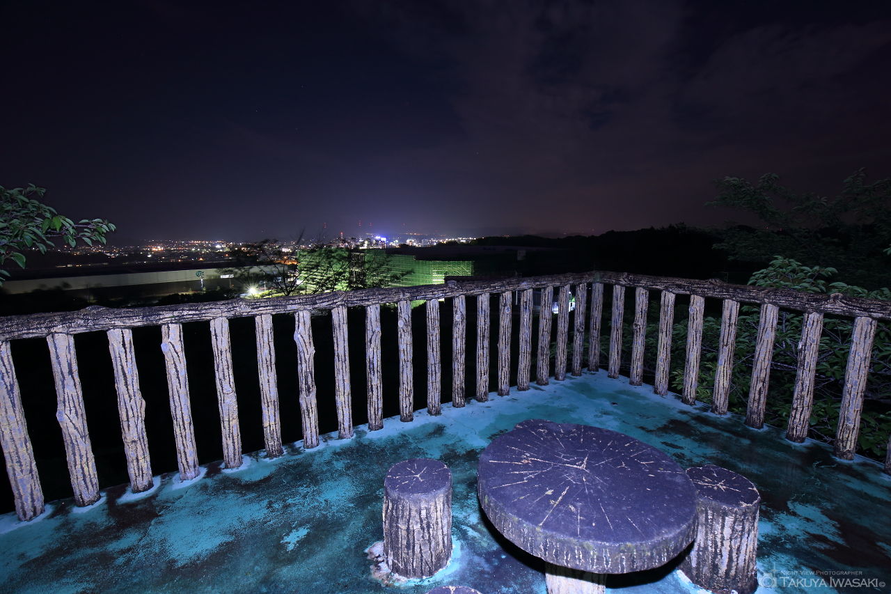 富士見台霊園の夜景スポット写真（2）