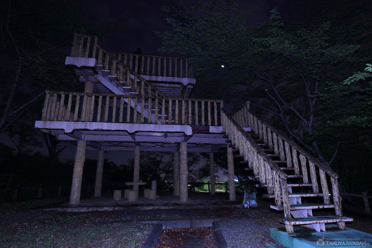 富士見台霊園の夜景スポット写真（3）