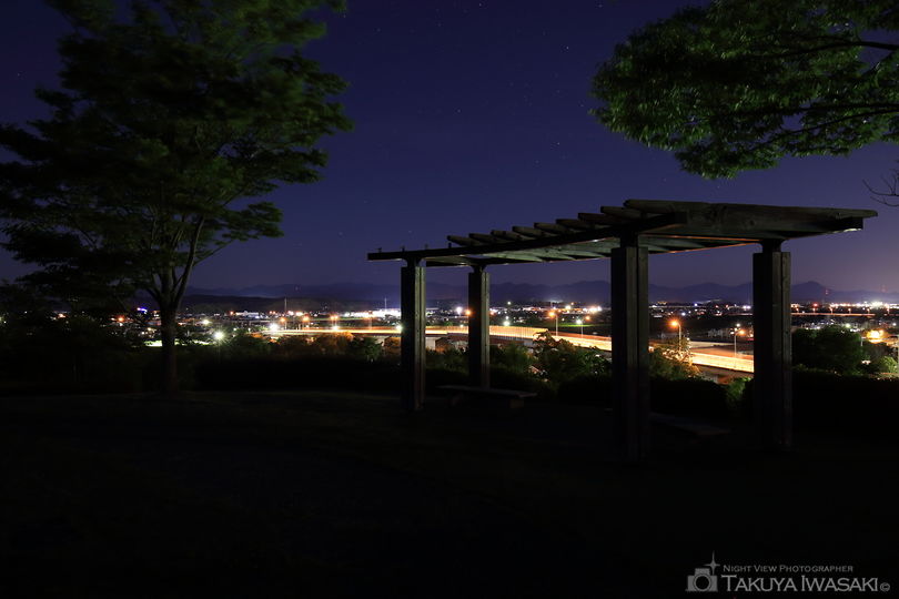 愛野公園の夜景スポット写真（4）
