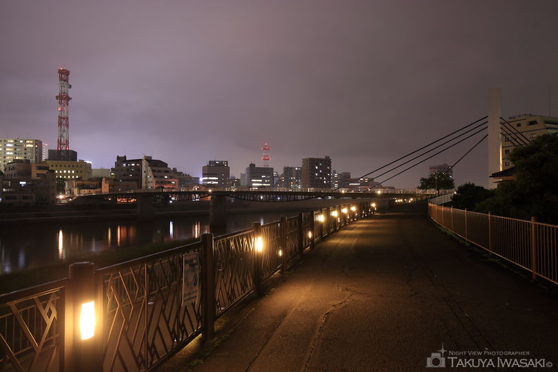 狩野川堤の夜景スポット写真（4）